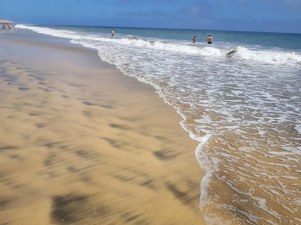 Maspalomas Campo Internacional ماسبالوماس